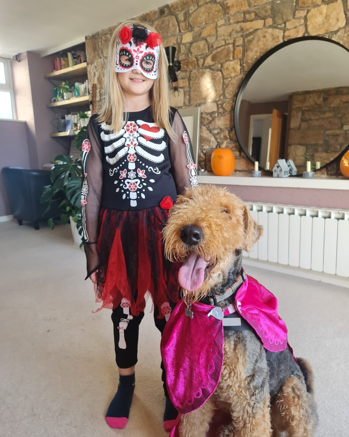 🎃 Happy Halloween 🎃 
It's the end of the half-term break and back to reality tomorrow. Not sure I'm ready. We've had such a brilliant week. It was great to see family; we went on a RIB boat, saw dolphins, visited an island, explored a castle, visited the zoo, carved pumpkins and celebrated my birthday 🥳. 
If you see this scary pair.... run the other way. The Airedale Terrier is particularly terryfing. He will lick you to death. Mwahahahaha.🐶
#airedaleterrier #airedalecommunity #airedalesofinstagram #airedalepuppy