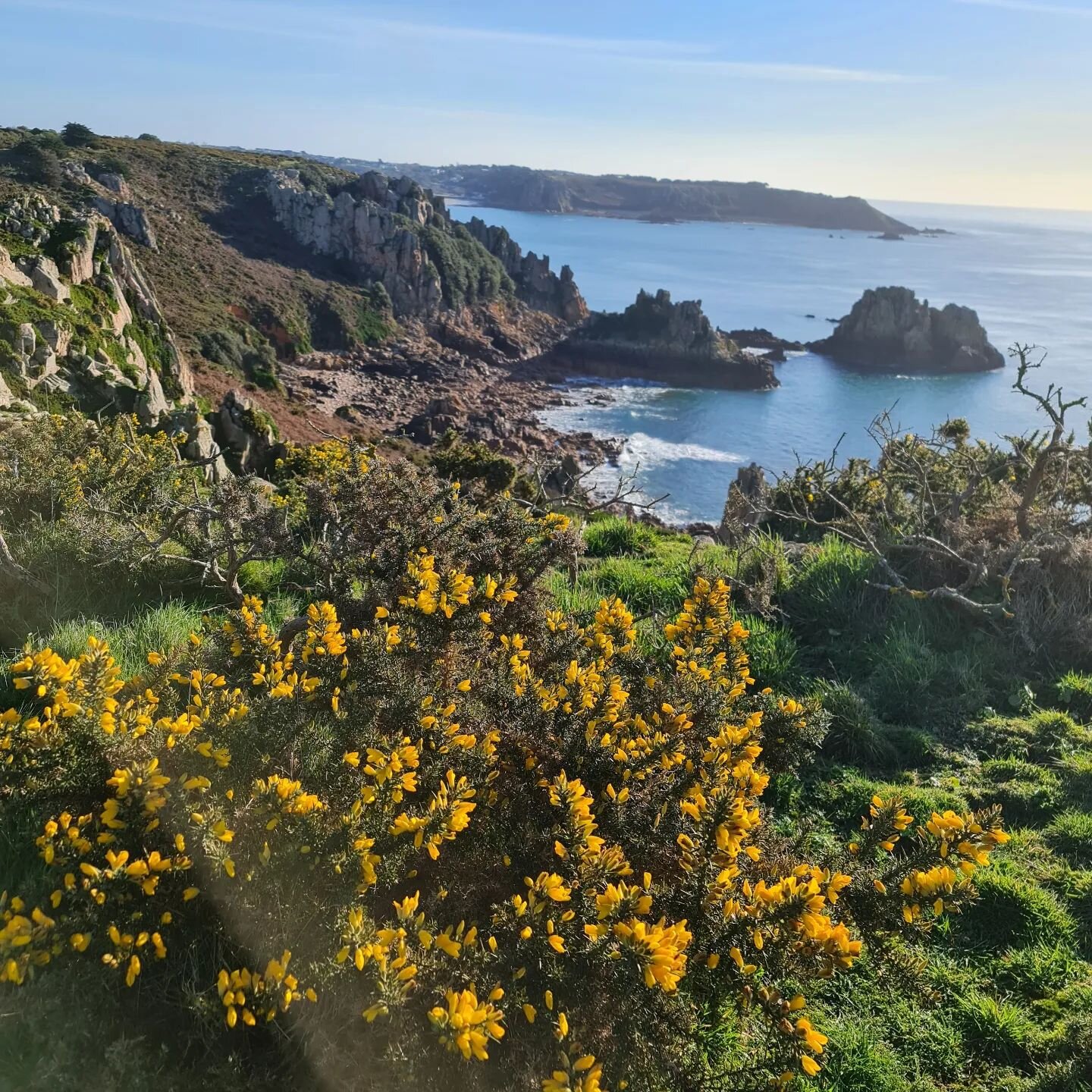 A morning hike along the cliff paths is very good for the soul. The best way to start the day.
Happy Friday ❤️.