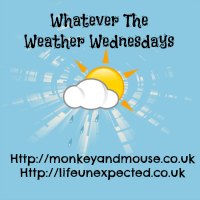 Whatever the weather linky