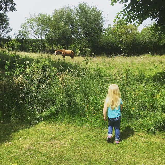 This was the school run yesterday. Today, rain, rain and more rain! #simplychildren #littleexplorers #ig_motherhood #pixel_kids #totsphoto #littlestoriesofmylife #littlefierceones #countryside #cherisheverymoment #horses #worldoflittles